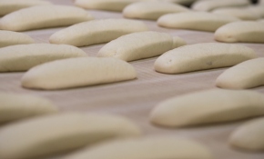 Türkiye'de en çok ekmek yapımı araştırıldı