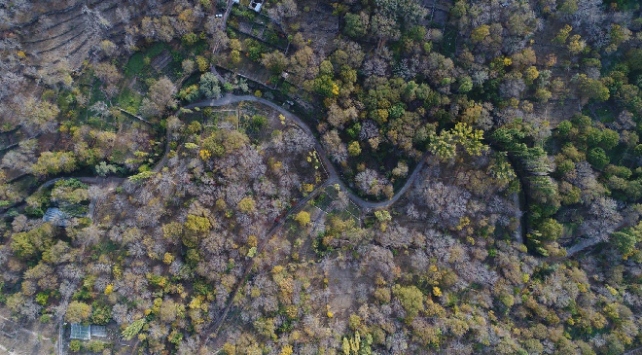 Koramaz Vadisi UNESCO geçici listesinde