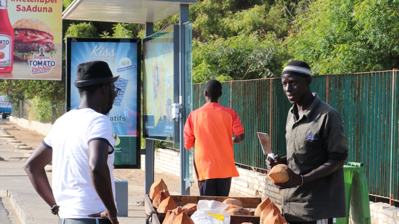 Doğal insülin ve serum vazifesi görüyor