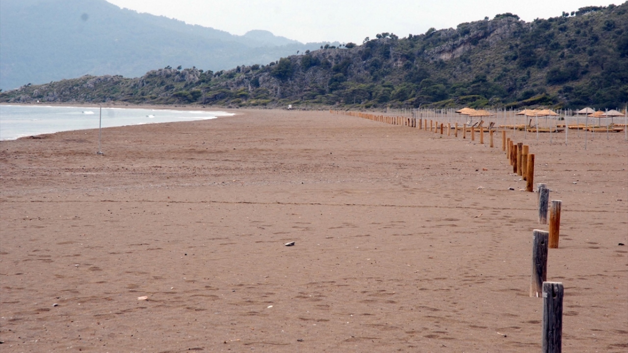 Sembolü oldukları dünyaca ünlü İztuzu Plajı`nda 5 ay kalacak caretta carettalar, burada çiftleşmenin yanında yuvalama ve kuluçka dönemlerini de geçirecek. 