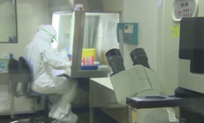 Türkiye Bilimler Akademisi Türkiye'nin koronavirüs röntgenini çekti