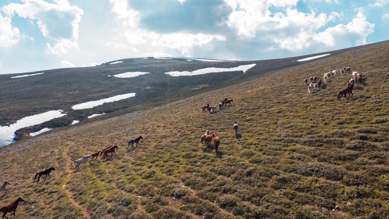 İlçeye ismini veren 2300 rakımlı Emir Dağları`nda yaşayan yılkı atları, fotoğraf ve doğa tutkunlarının ilgisini çekiyor.