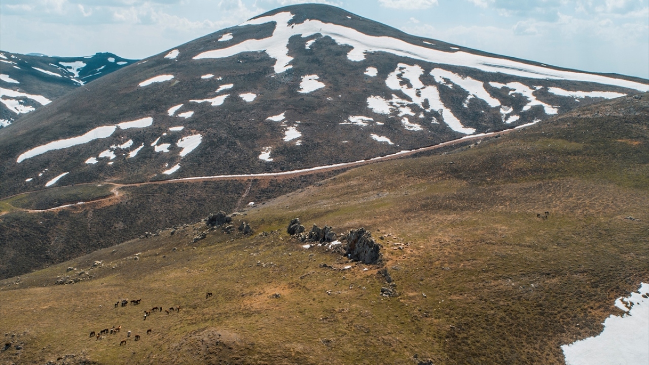 "Türkiye`yi buraya davet ediyoruz"