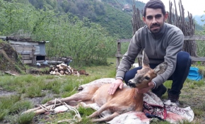 Yaralı karacayı sırtlarında taşıyarak tedaviye götürdüler