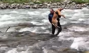 Derede taşın üstünde mahsur kalan köpek kurtarıldı