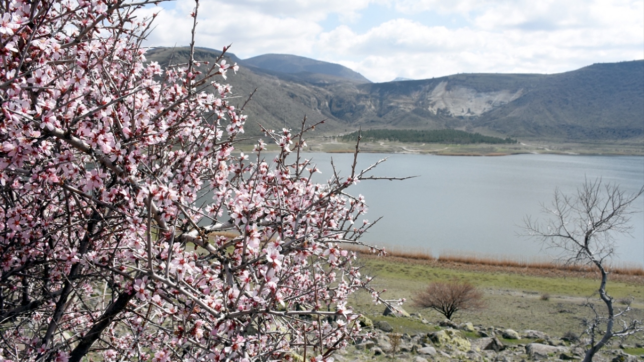 Celal Pamuk da normal zamanlarda ayda 2-3 defa buraya geldiğini belirterek bu güzelliği herkesin görmesi gerektiğini ifade etti.