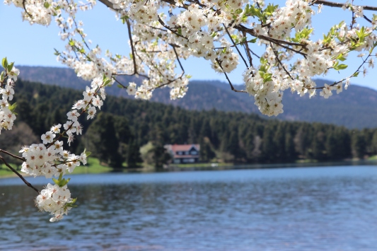 Gölcük Tabiat Parkı en sessiz günlerini yaşıyor