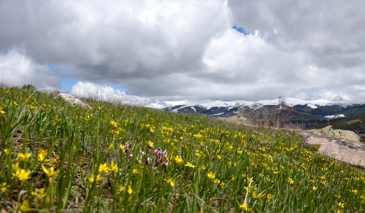 Amatör fotoğrafçı Yakup Ünal, yaptığı açıklamada, Sarıkamış`ın her mevsim başka bir güzelliğe büründüğünü söyledi.