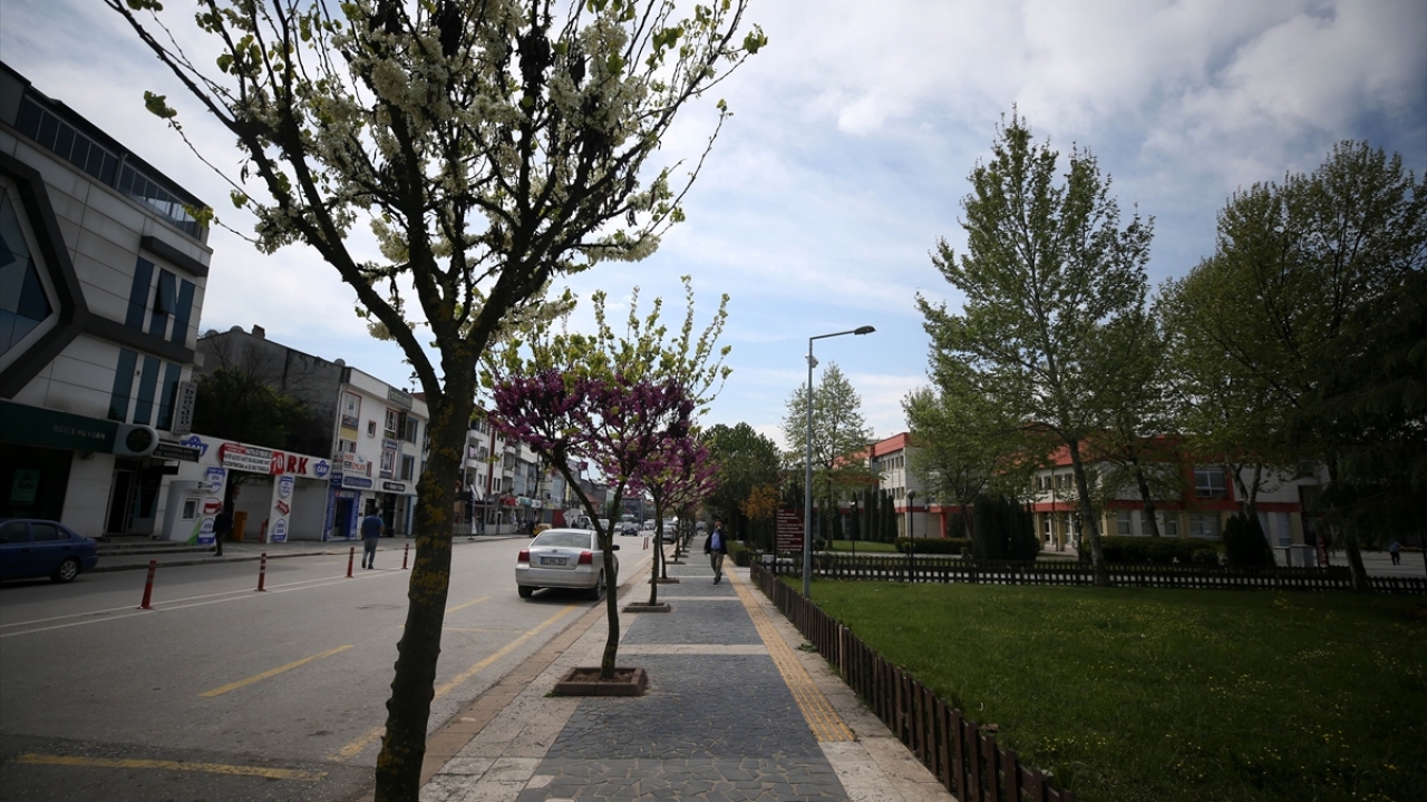 İstanbul ve Gaziantep caddeleri, Spor Sokak, Anıtpark Meydanı ve Avni Akyol Parkı`nın şerit ve bariyerlerle kapatılmasının ardından kent merkezinde sakinlik sürerken ekiplerin denetimleri devam ediyor.