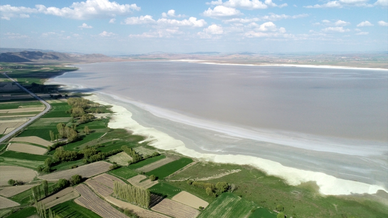 Alandaki toplam 295 damarlı bitki taksonundan 22`si endemik özellikte bulunuyor.