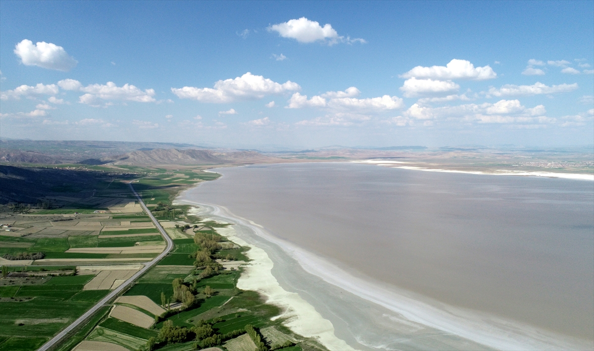 "Kuş çeşitliliği oldukça yüksek"