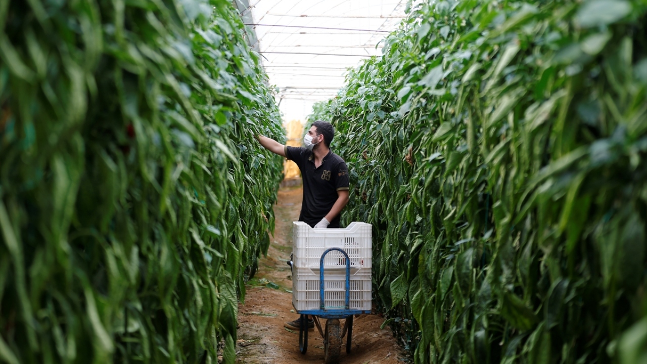 Sahurdan iftara üretim aralıksız sürüyor