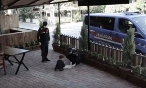 Jandarmaya el sallayan çocuklara hediye