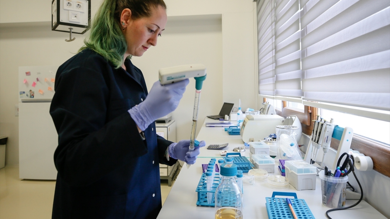 İzmir Yüksek Teknoloji Enstitüsü (İYTE) bünyesindeki teknoparkta 4 yıl önce Flora Bio adlı şirketi kuran Erdem ve Çaylı, biyoteknolojik ilaçlar üzerine çalışmalar yürütüyor. 