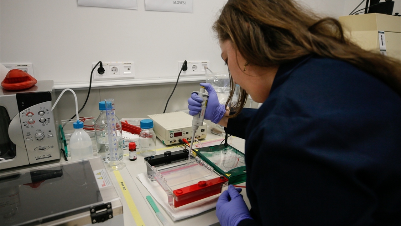 Aynı yılın mayıs ayında besiyer global bir yabancı firmaya lisanslandı. Lale besiyeri, 200 ülkede şap aşısı geliştirme çalışmalarında kullanılmaya başlandı.