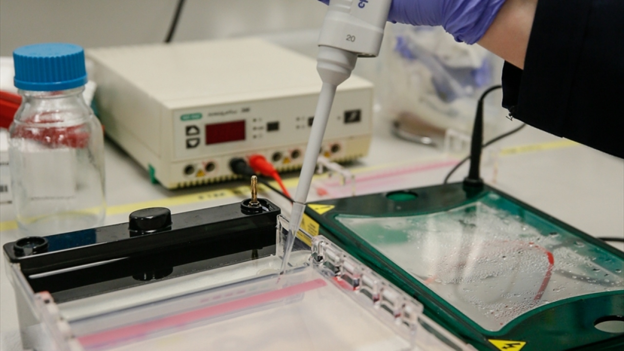 "Lale"den güzel bir geri dönüş alan bilim insanları, bu alandaki çalışmalarına hız verdi. TÜBİTAK`tan da destek alan Çaylı ve Erdem, bu süreçte 3 besiyeri daha geliştirmeyi başardı. 