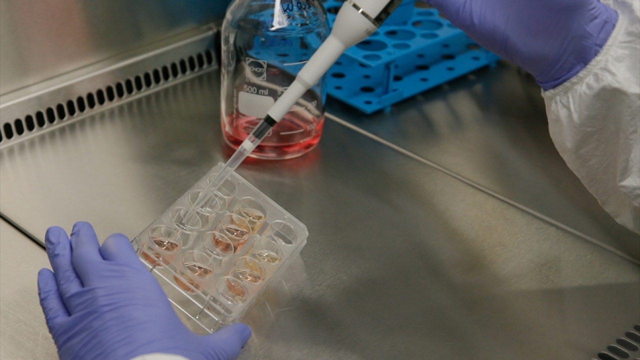 Türk bilim insanları, onların da bilimsel çalışmalarda kullanılması için yabancı bir firma ile görüşmeler yürütüyor.