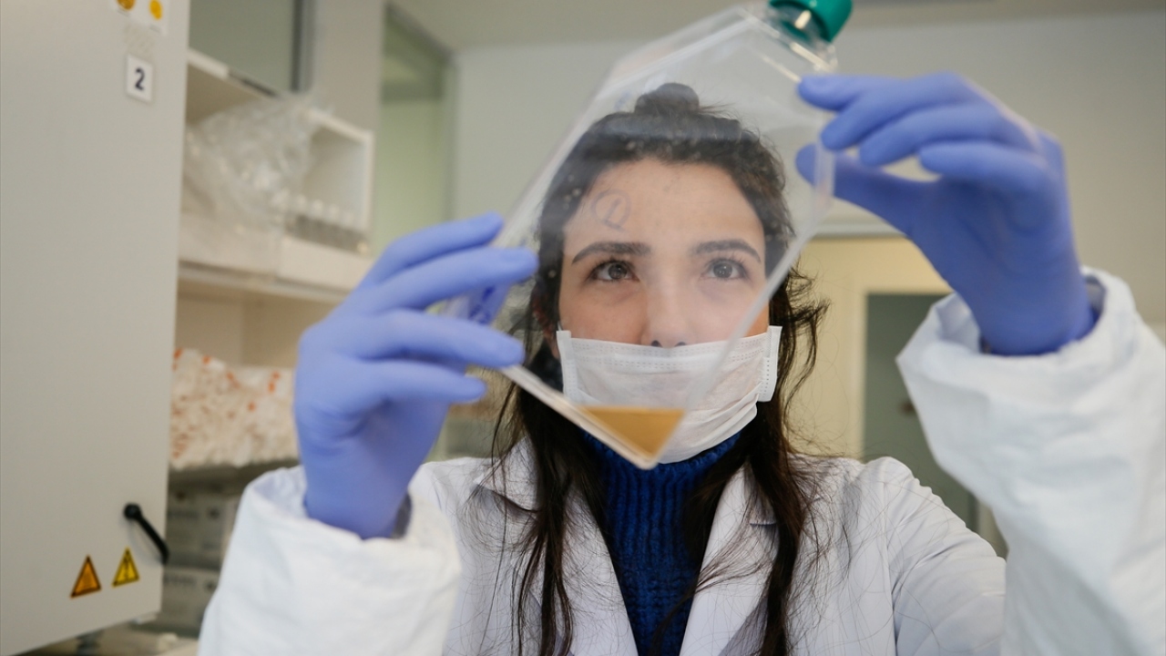 İlaç moleküllerinin geliştirilmesinde ilk aşamanın, hücrenin beslenmesini sağlayan "besiyeri" olduğuna dikkati çeken Erdem, şirket olarak bu alanda iyi bir noktaya geldiklerini ifade etti. 