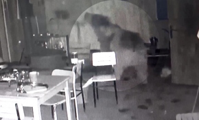 Trabzon'da yiyecek arıyan ayı lokantaya girdi