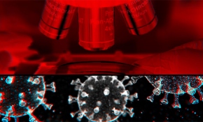 Türkiye aşı konusunda emin adımlarla ilerliyor