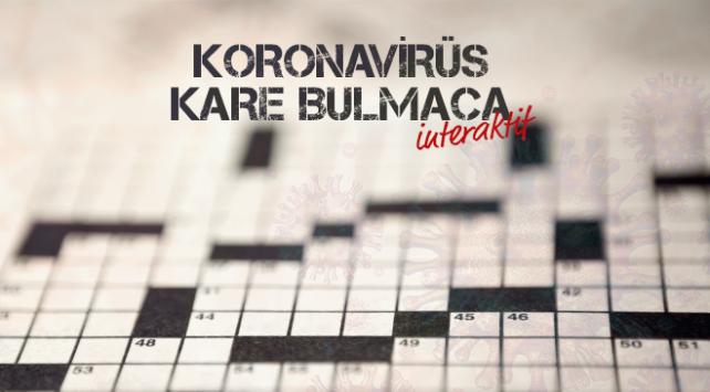Koronavirüs Kare Bulmaca 4
