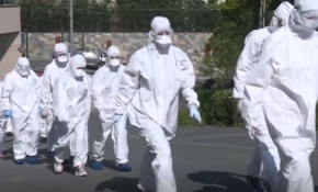 Filyasyon ekibi virüsün izini sürüyor