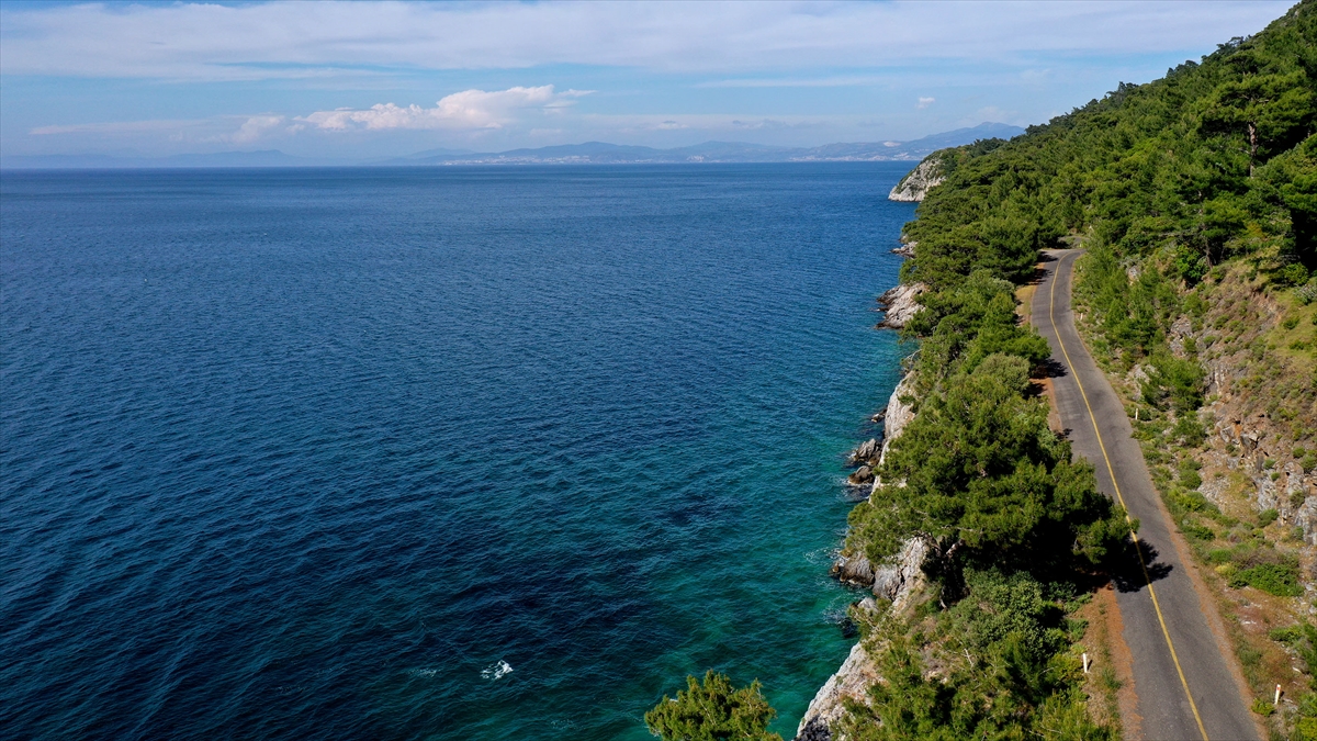 Bölgede bugünlerde kuş ve böcek sesleri doğada adeta ritim tutuyor.