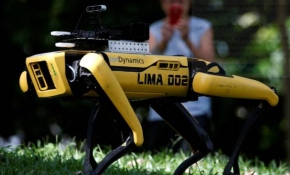 Singapur'da sosyal mesafe robotlara emanet