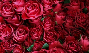 Çocuklarından gelen çiçekler anneleri duygulandırdı