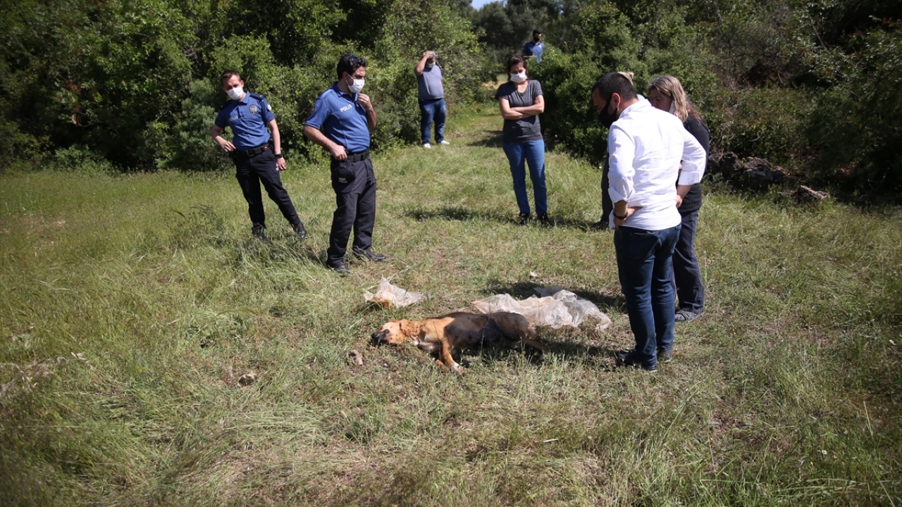 "Canlarına can olmaya çalışacağım"