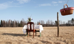 İsveç'te sosyal mesafe önlemli tek kişilik restoran