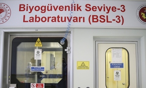 Türkiye'nin aşı için hazırladığı anti serum çalışmaları görüntülendi
