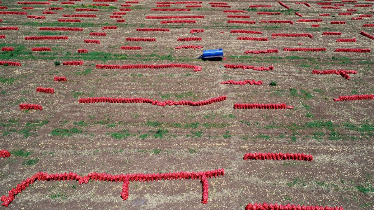 Verim arttı fiyat düştü