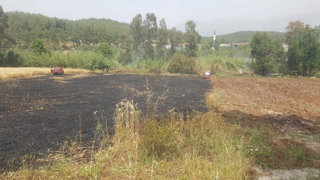 Muğla'da buğday tarlasında çıkan yangın söndürüldü