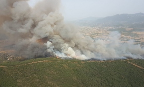 Muğla'da ormanlık alanda yangın çıktı