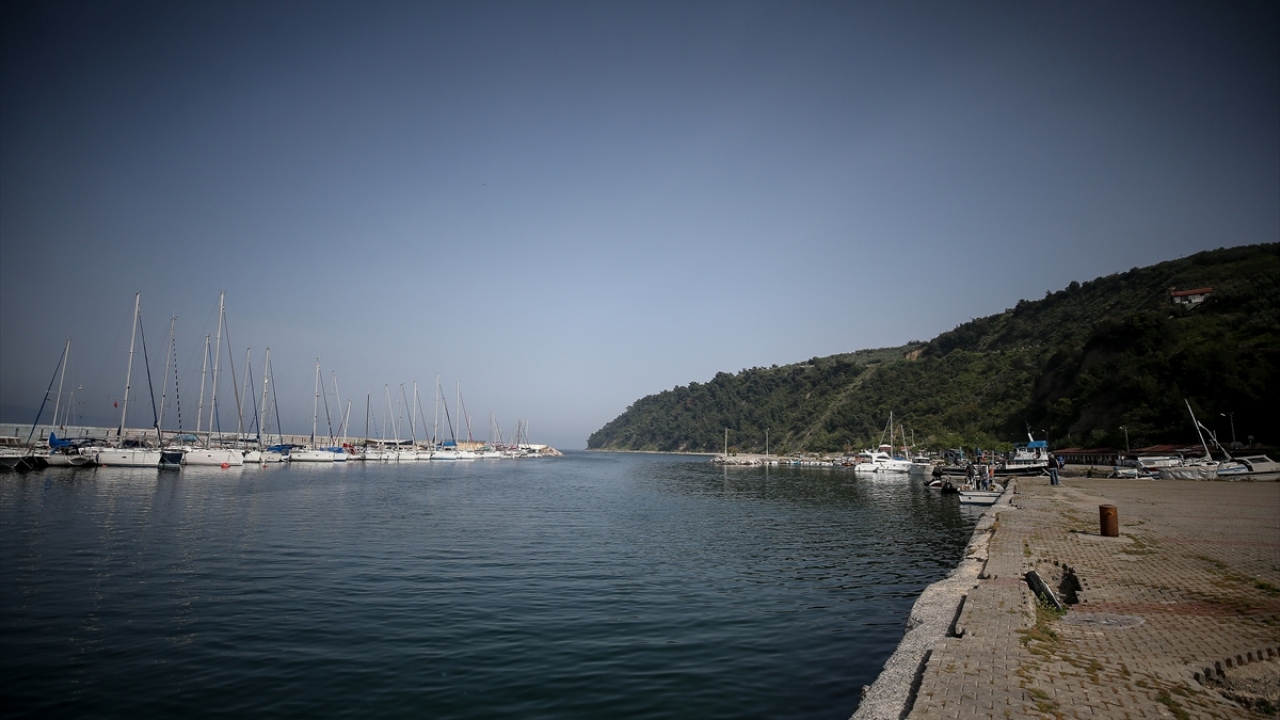 Mahalle Muhtarı Süleyman Alkız, yaptığı açıklamada, bölgenin doğası, zeytini, zeytinyağı ve tarihiyle turistler tarafından tercih edildiğini söyledi.