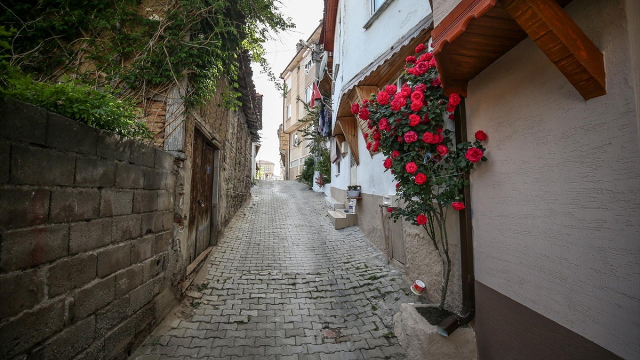 "Tirilye`yi ilk defa bu kadar sessiz görüyoruz"