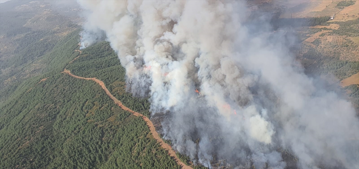 Muğla`nın Milas ilçesinde orman yangını çıktı.