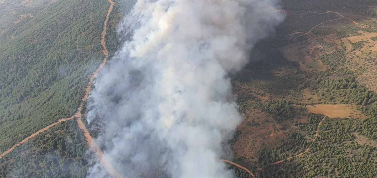 Kısırlar Mahallesi`ndeki ormanlık alanda henüz belirlenemeyen nedenle yangın başladı. 