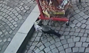 Kastamonu'da kargalar cips paketlerine dadandı