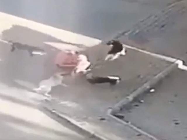 Genç kadının sokak köpekleriyle mücadelesi kameraya yansıdı