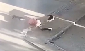 Genç kadının sokak köpekleriyle mücadelesi kameraya yansıdı