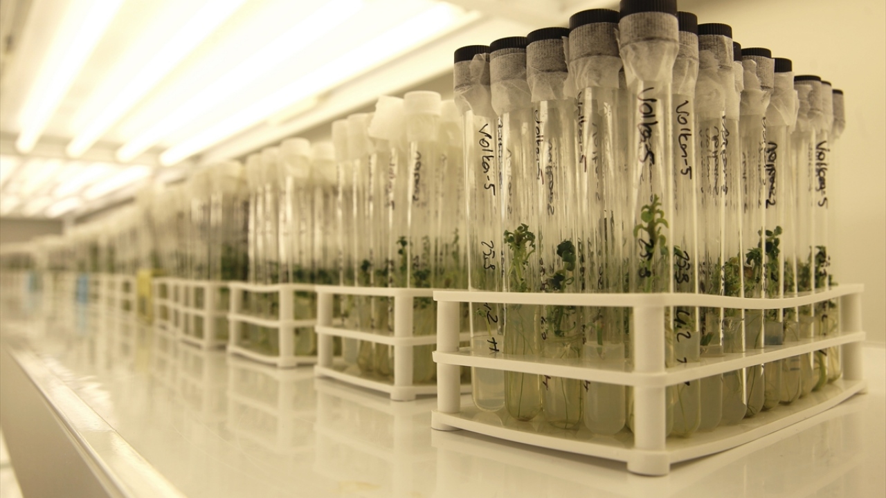 "Ar-Ge için 10 milyon dolardan fazla harcandı"