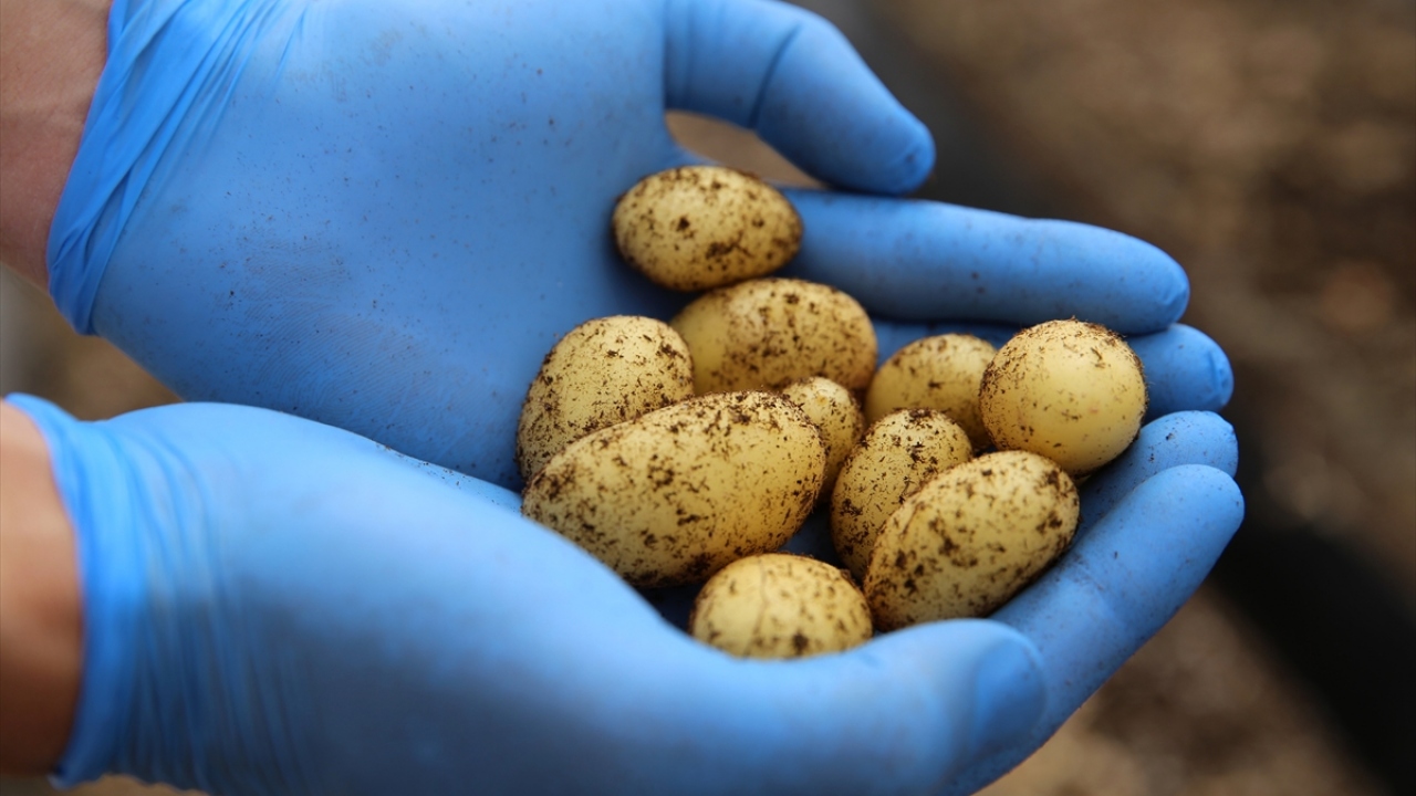 "Takdirle karşılıyor, çalışmaları destekliyoruz"