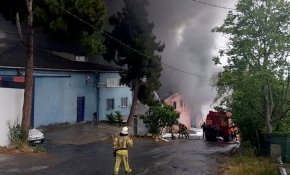 İstanbul'da plastik fabrikasında yangın