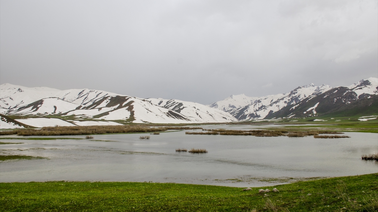 Her mevsim farklı güzelliğe bürünen yaylada, coşkuyla akan dereler, tarlalarda açan rengarenk çiçekler ve beyaz örtüyle kaplı dağları seyrine doyumsuz manzaralar oluşturuyor.