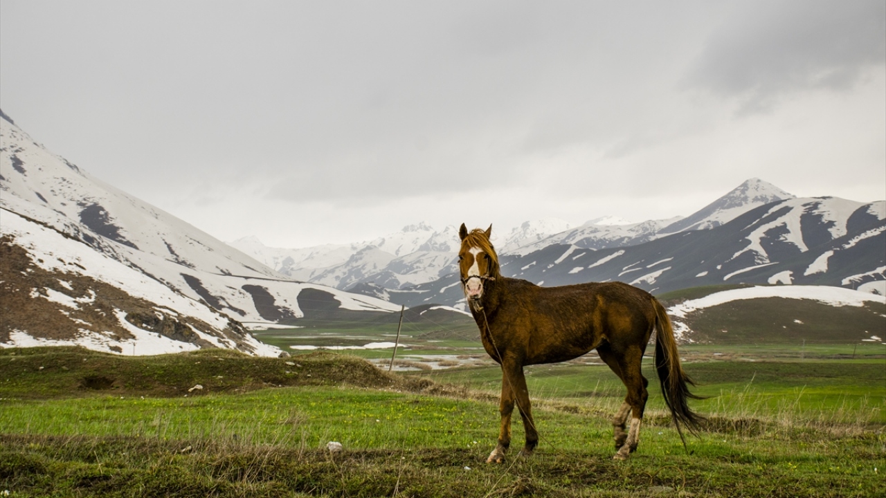 Yaylaya gezmeye gelen Suat Uce, yaptığı açıklamada, İstanbul`da çalıştığını, koronavirüs (Covid-19) salgını dolayısıyla ilçeye geldiğini söyledi.