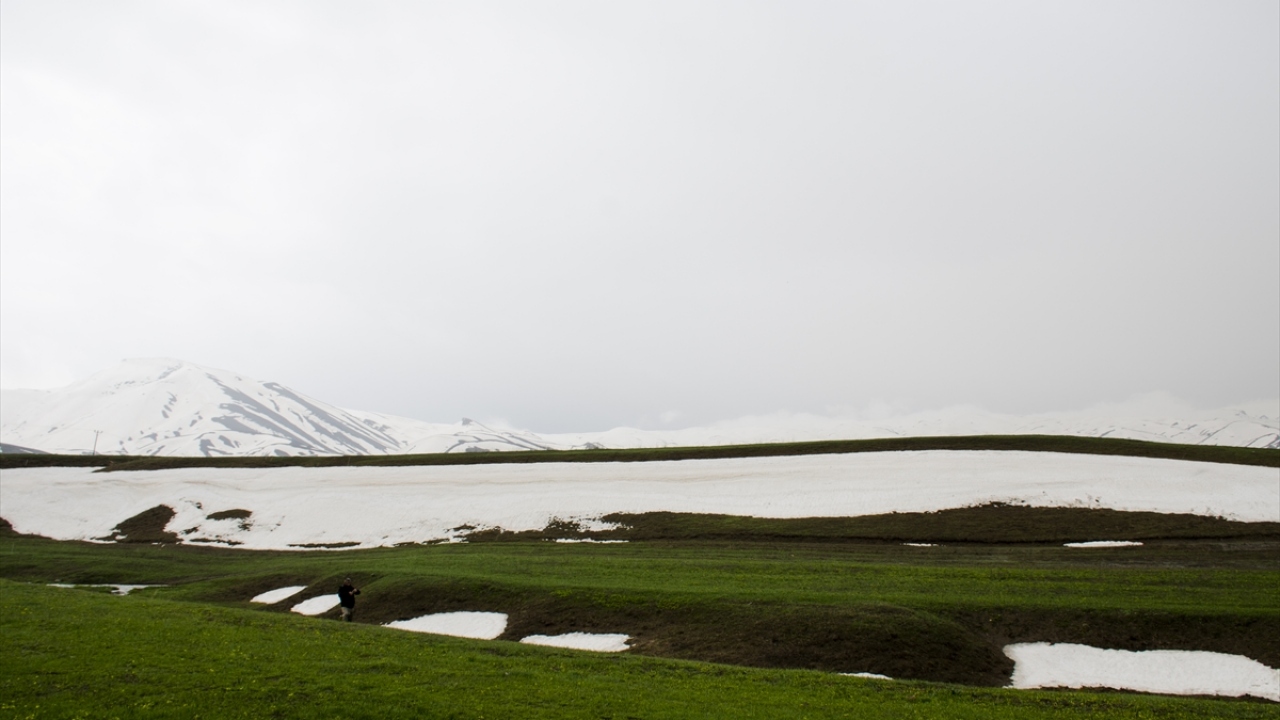"Yayla her mevsim ayrı bir güzel"