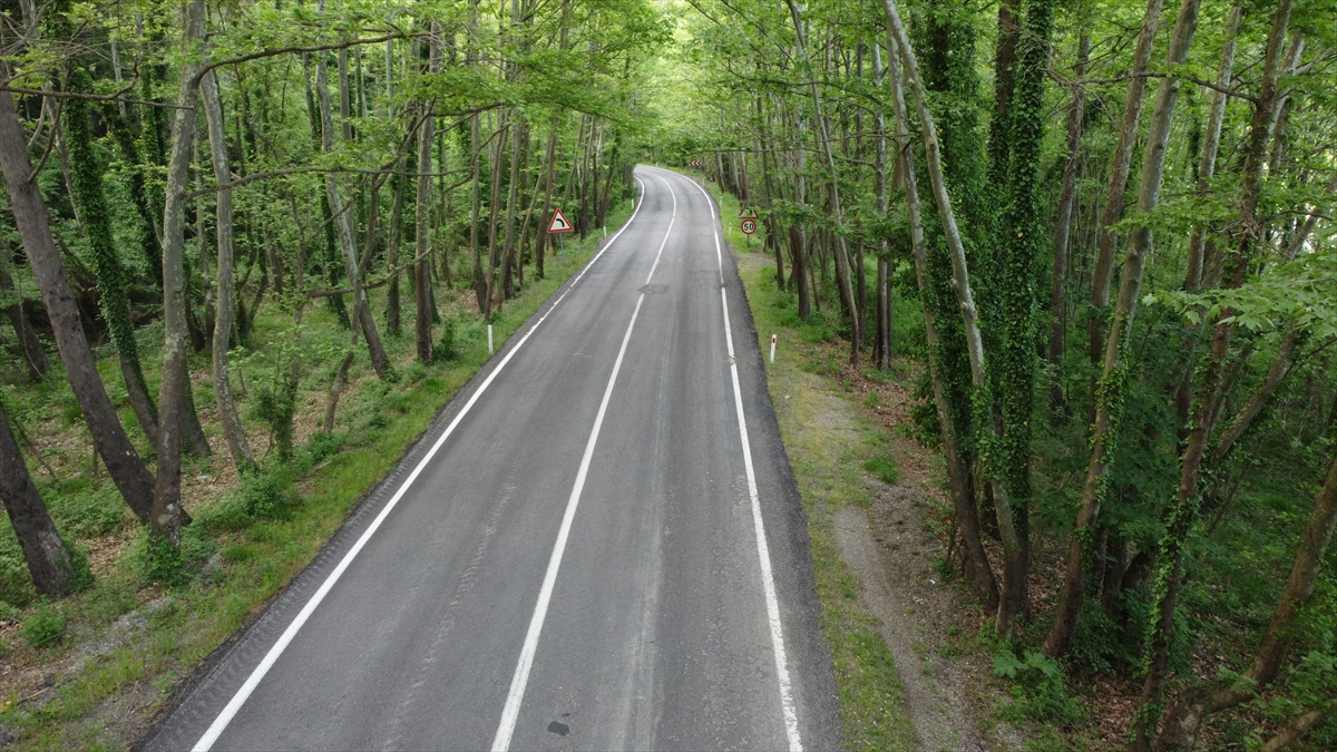İrlanda`daki Dark Hedges, Japonya`daki Wisteria, Madagaskar`daki Baobap ve Zimbabve`deki Harare ağaç tünellerini aratmayan yol, içine girerken ürkütücü görünse de ilerledikçe masalımsı bir ortama dönüşüyor. 