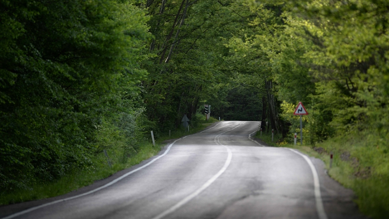 Adeta iki yanındaki ağaçlarda bulunan kuşların seslerine eşlik eden yol, eski günlerdeki gibi yolcularını bekliyor.